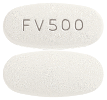 famvir dose for cold sores